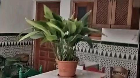 Flat for sale in Calle Cordoba, 35, Iznájar, Córdoba - image 5 Photo 5 of Flat for sale in Calle Cordoba, 35, Iznájar, Córdoba