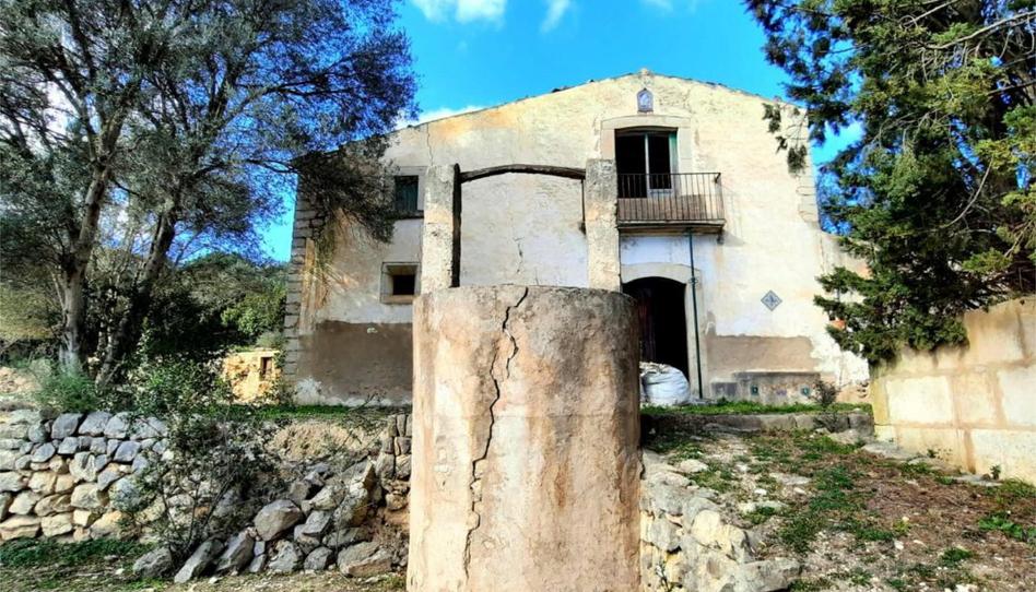 Pis en venda a Diseminado Poligono 15, 47, Binissalem, Illes Balears - imatge 1 Foto 1 de Pis en venda a Diseminado Poligono 15, 47, Binissalem, Illes Balears