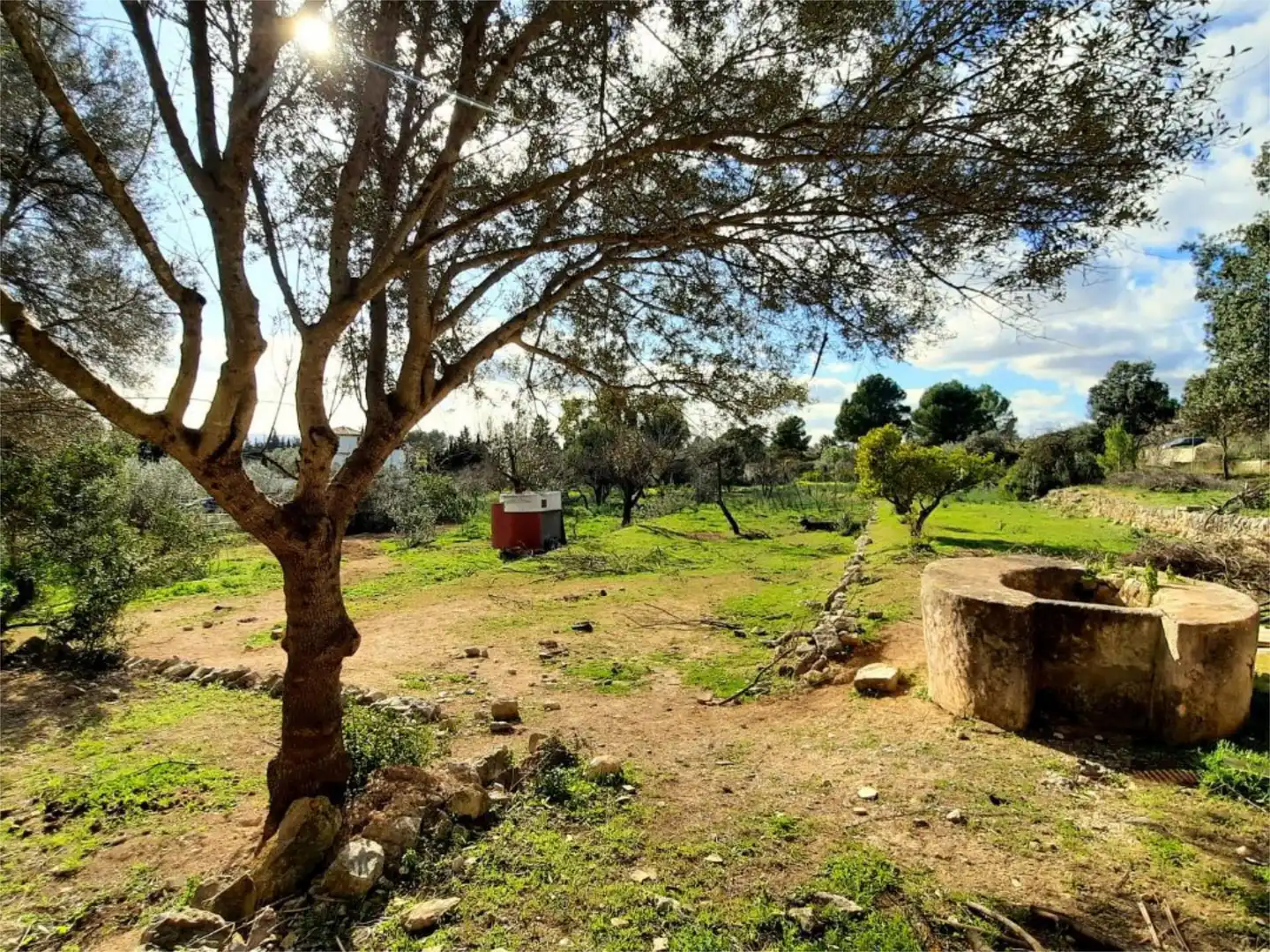 Flat for sale in Diseminado Poligono 15, 47, Binissalem Flat for sale in Binissalem
