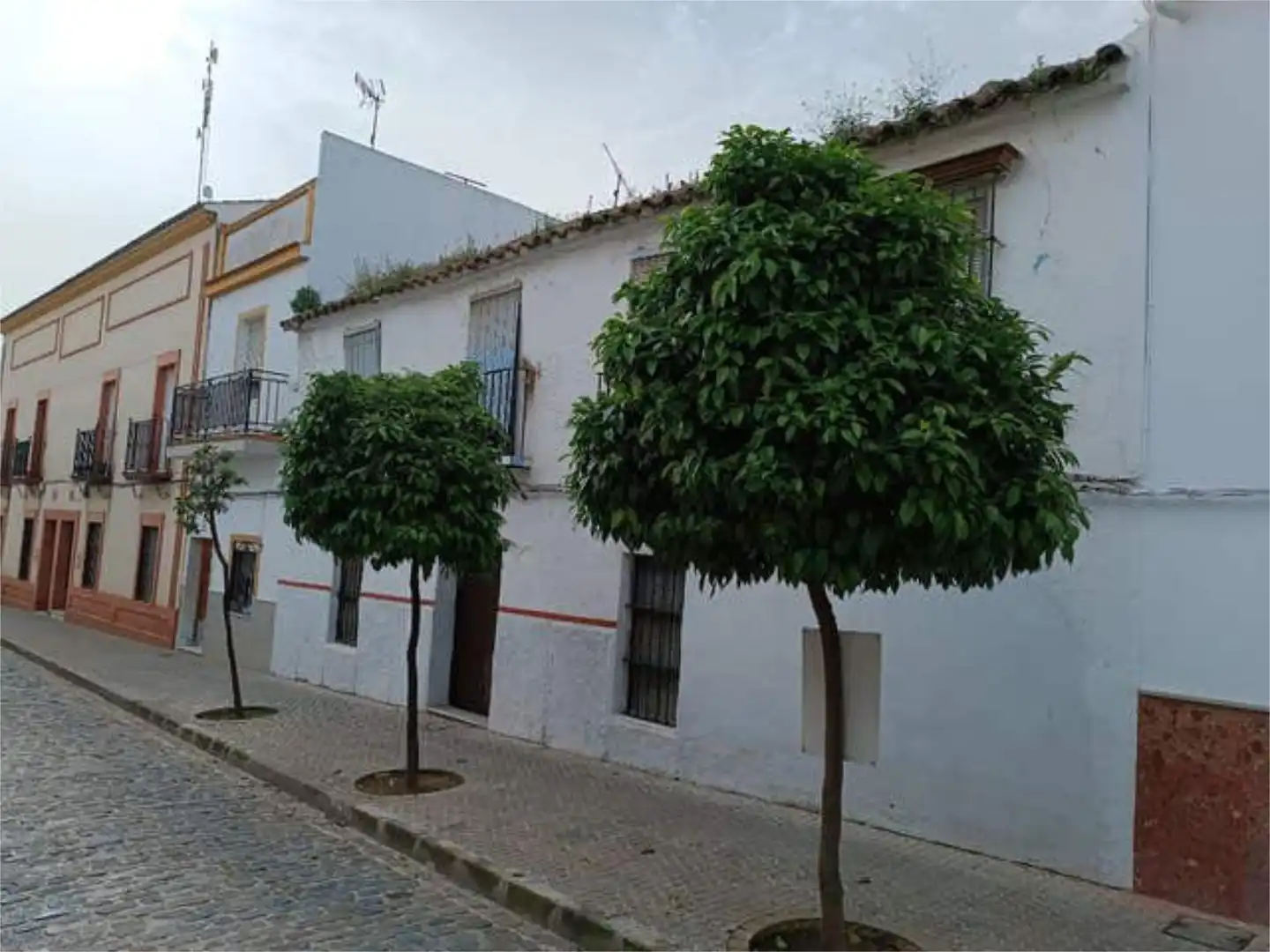 Vista exterior de Casa o chalet en venta en Utrera