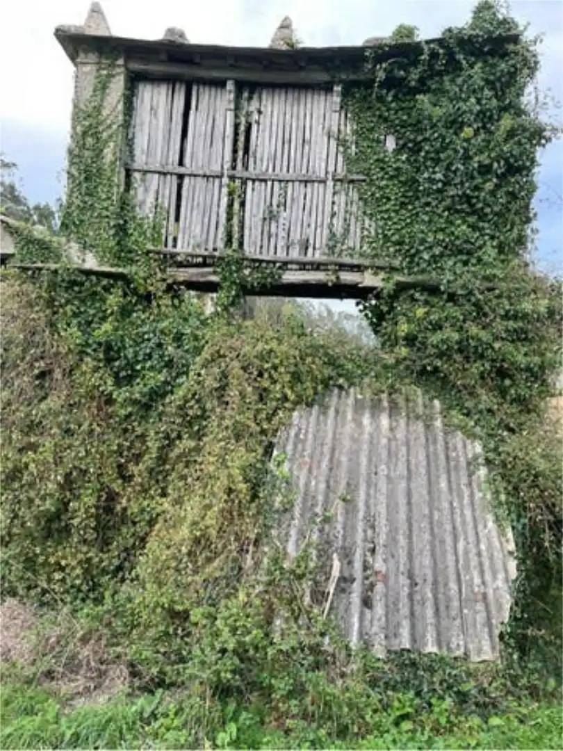 Jardín de Casa o chalet en venta en Mondoñedo