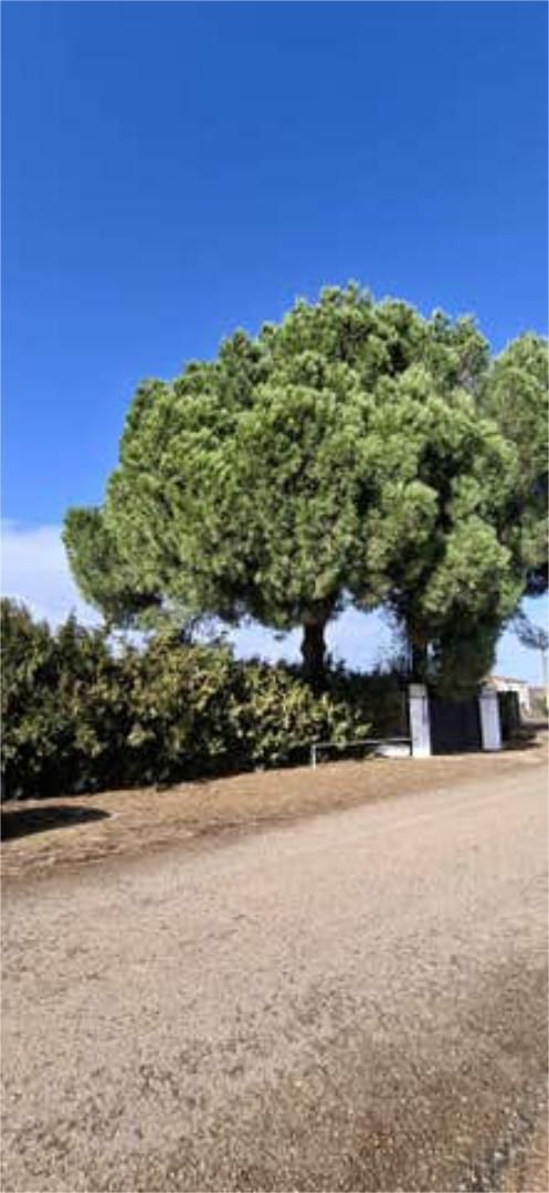 Jardí de Casa adosada en venda en Badajoz Capital amb Jardí privat, Traster i Piscina