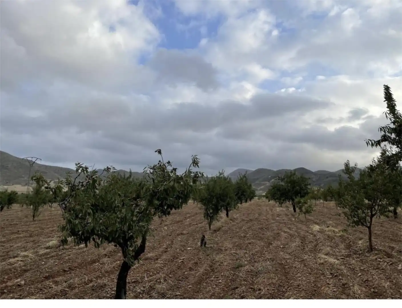 Land for sale in Diseminado Morata, 82, Morata Land for sale in Lorca