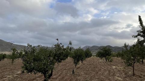 Photo 3 of Land for sale in Diseminado Morata, 82, Morata, Lorca