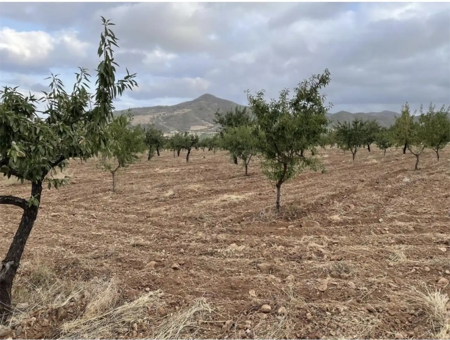 Land for sale in Diseminado Morata, 82, Morata Land for sale in Lorca