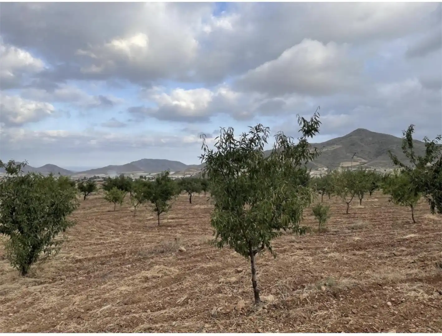 Land for sale in Diseminado Morata, 82, Morata Land for sale in Lorca