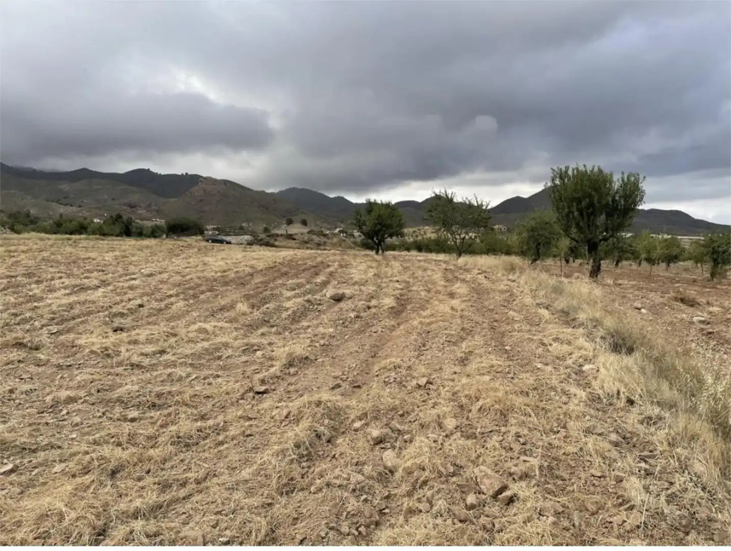 Land for sale in Diseminado Morata, 82, Morata Land for sale in Lorca