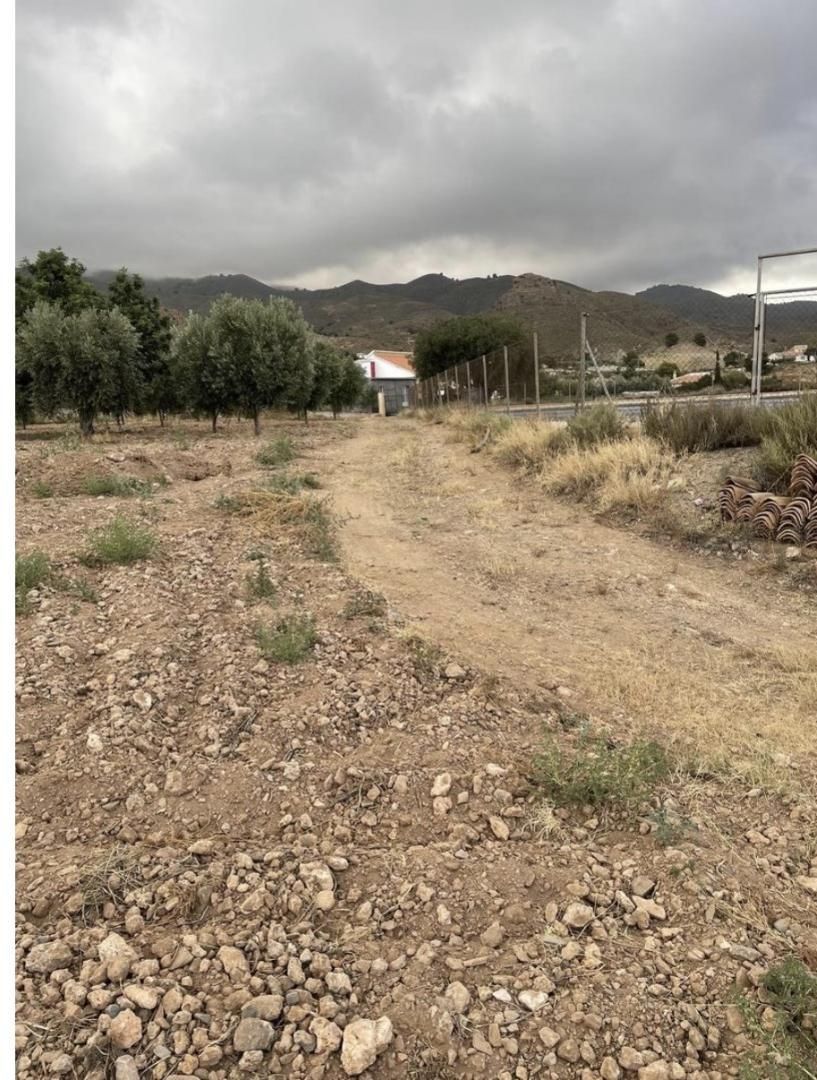 Land for sale in Lorca