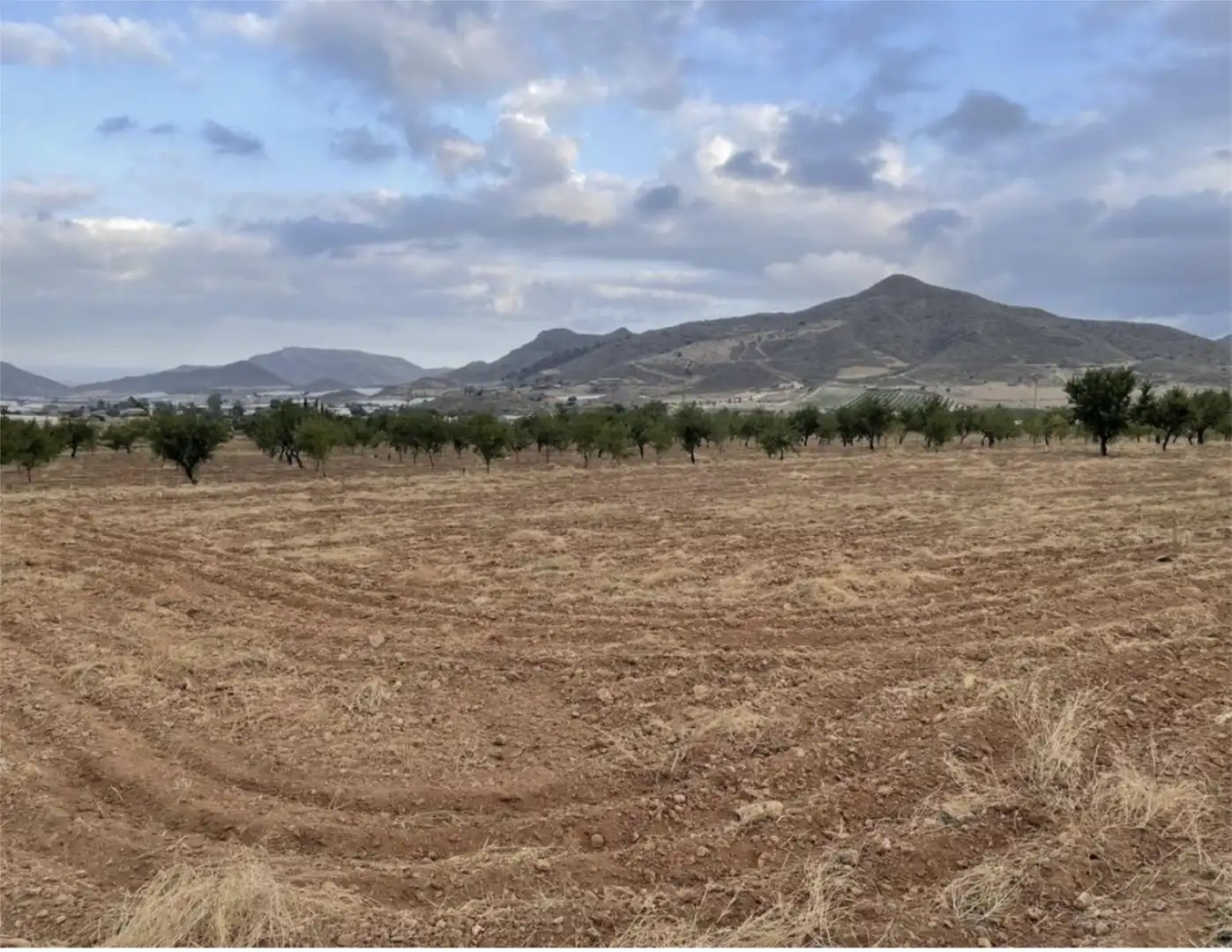 Land for sale in Diseminado Morata, 82, Morata Land for sale in Lorca