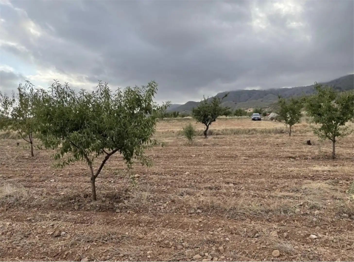 Land for sale in Diseminado Morata, 82, Morata Land for sale in Lorca