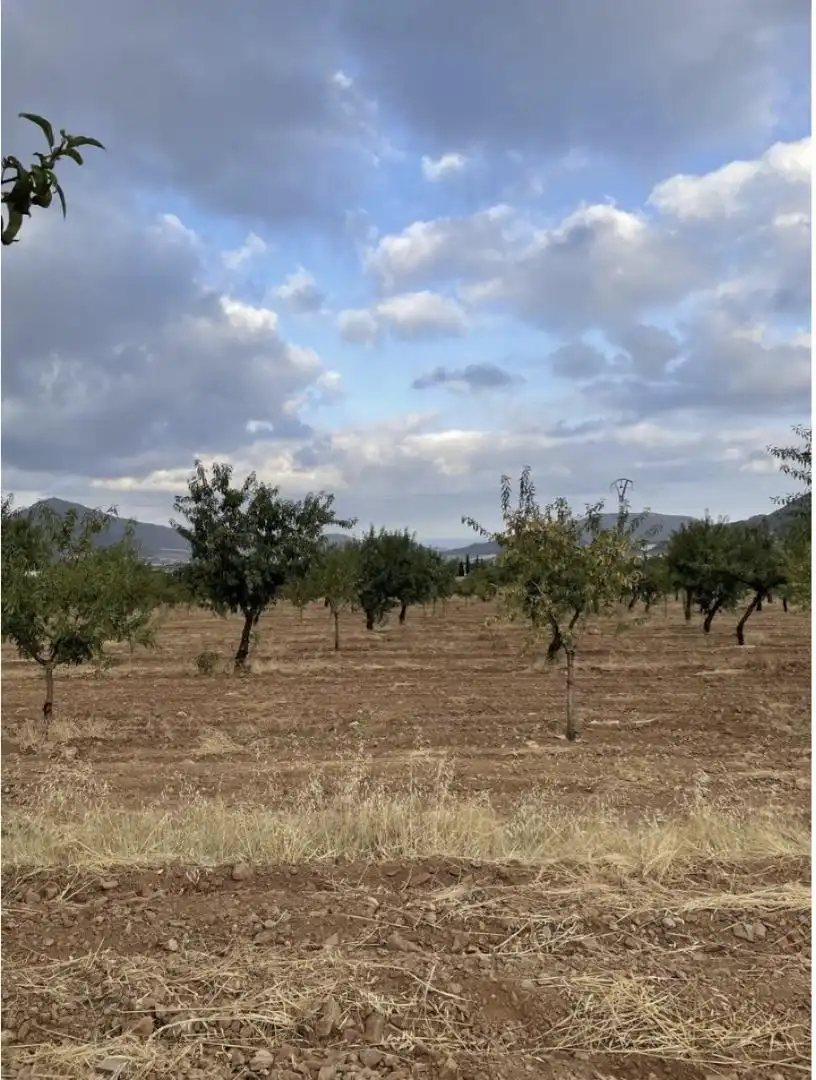 Land for sale in Diseminado Morata, 82, Morata Land for sale in Lorca