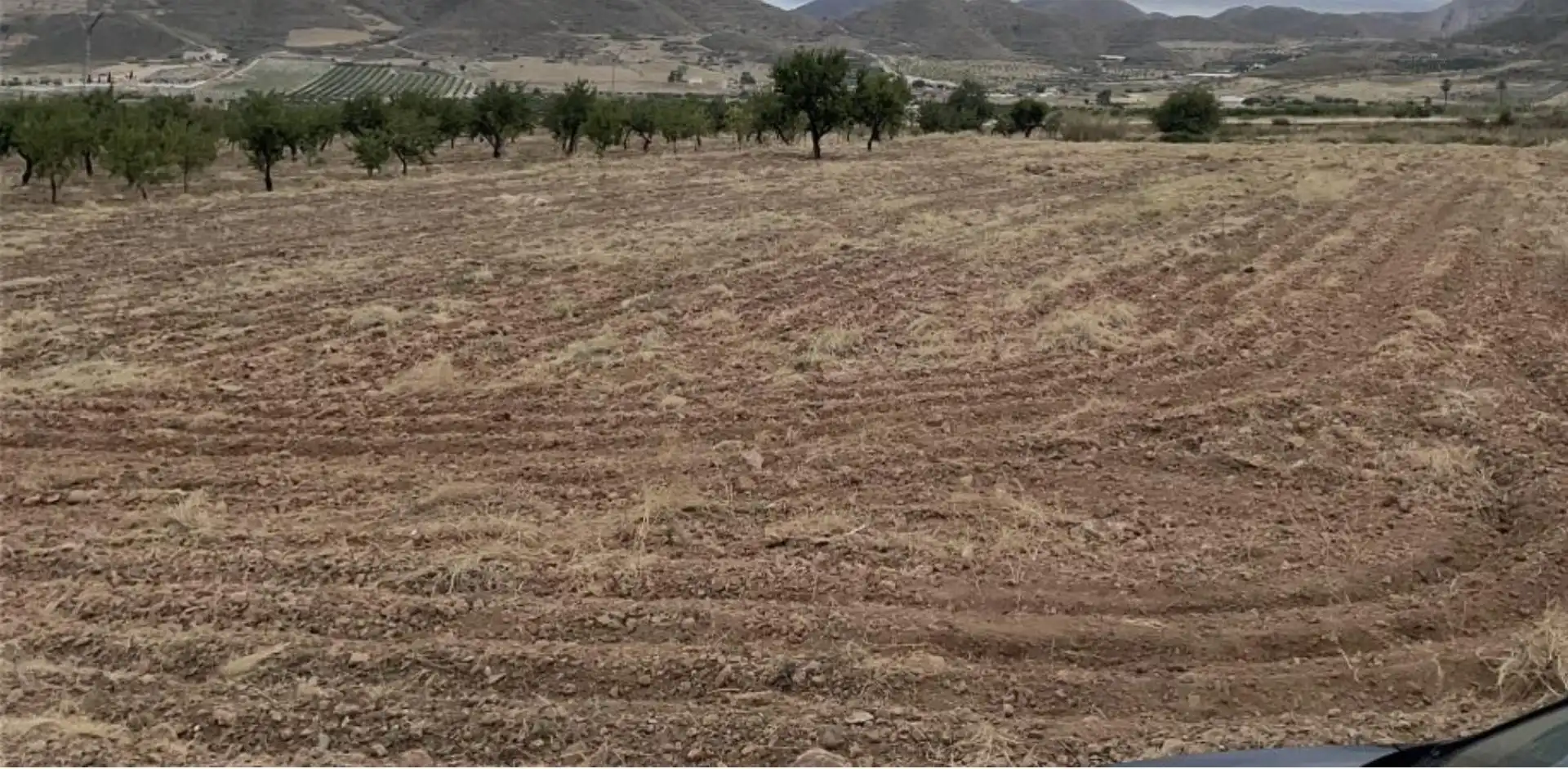 Land for sale in Diseminado Morata, 82, Morata Land for sale in Lorca
