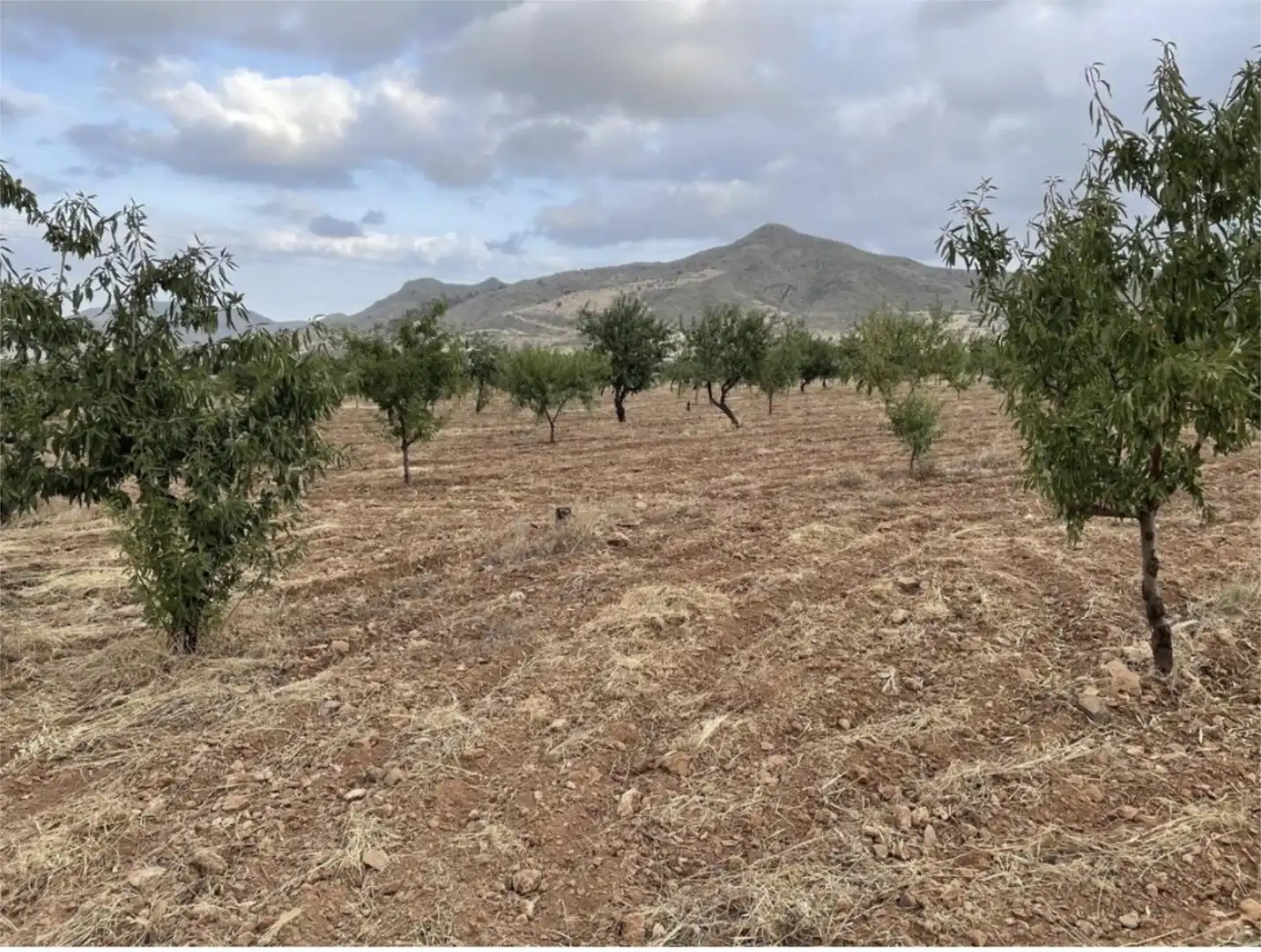 Land for sale in Diseminado Morata, 82, Morata Land for sale in Lorca