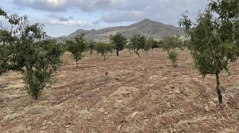 Photo 4 of Land for sale in Diseminado Morata, 82, Morata, Lorca