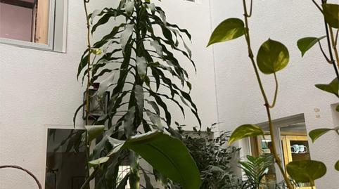 Photo 2 of Single-family semi-detached for sale in Calle de Peña Pintada, 47, Mirasierra,  Madrid Capital