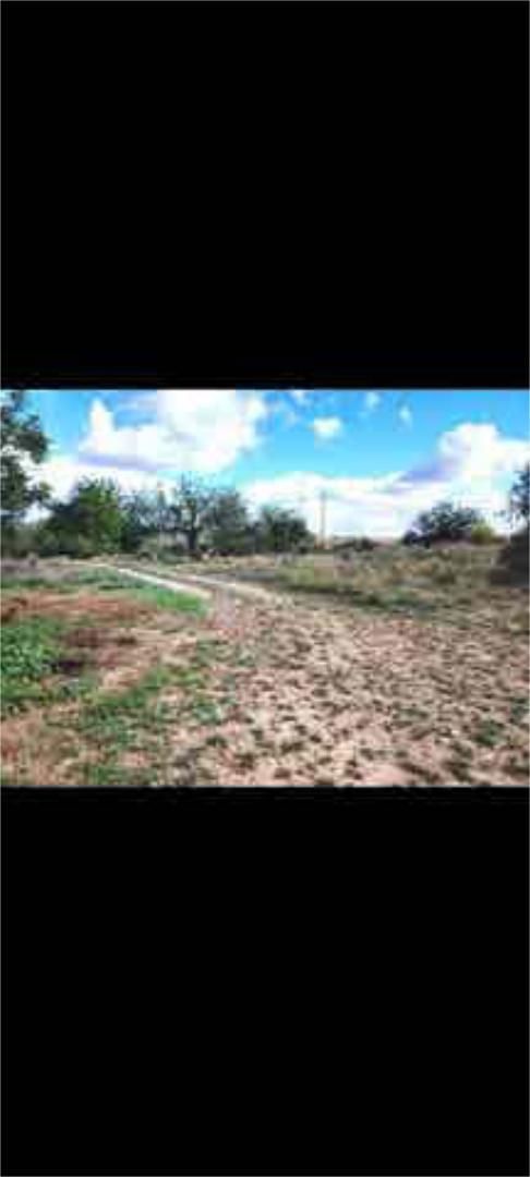 Einfamilien-Reihenhaus zur Miete in Pedralba