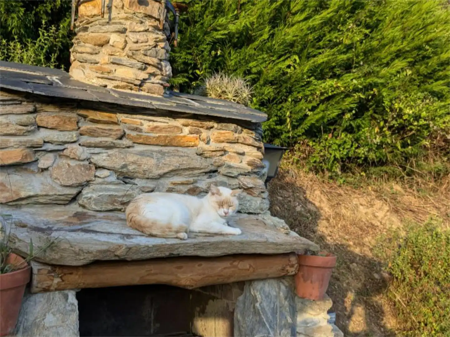 Jardí de Casa o xalet en venda en Ortigueira amb Terrassa i Balcó