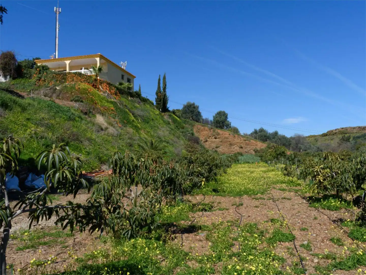 Wohnung zum Verkauf in Vélez-Málaga mit Privatgarten, Terrasse und Abstellraum