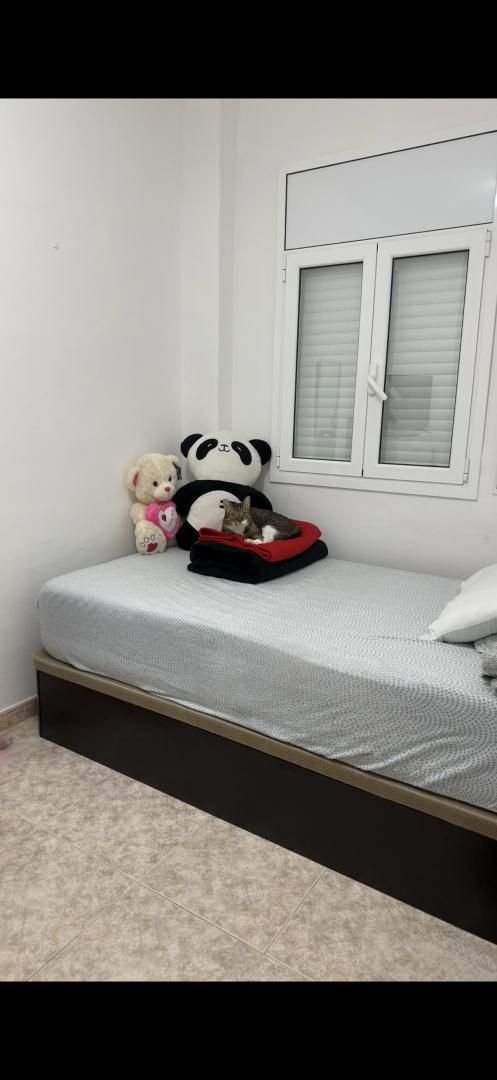 Pis per a compartir a Gran Via de les Corts Catalanes, 49, Granvia LH