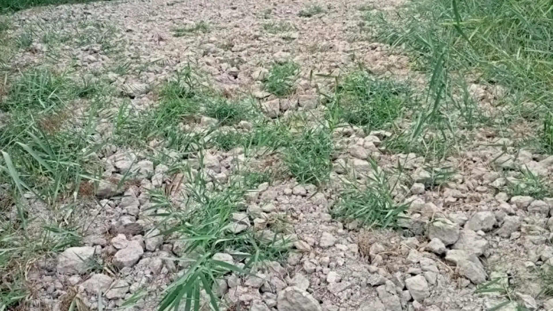 Terreno en venta en Benamaurel