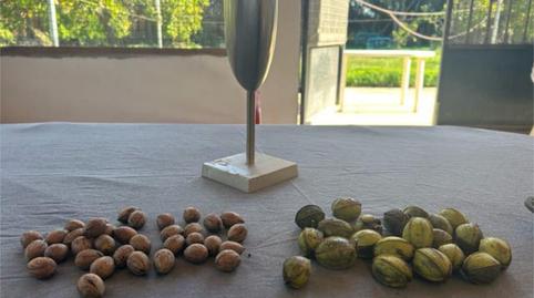 Foto 2 de Casa o chalet de alquiler en El Romeral - Peñón de Zapata, Alhaurín de la Torre