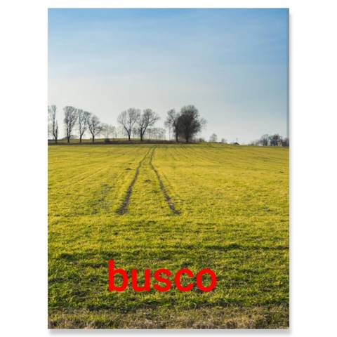 Terreno en Venta en Calle de Magallanes, 18 en Puertito de Güímar