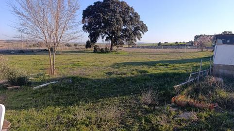 Foto 5 de Casa o chalet en venta en Camino del Manzano, 1, Villar de Cañas, Cuenca