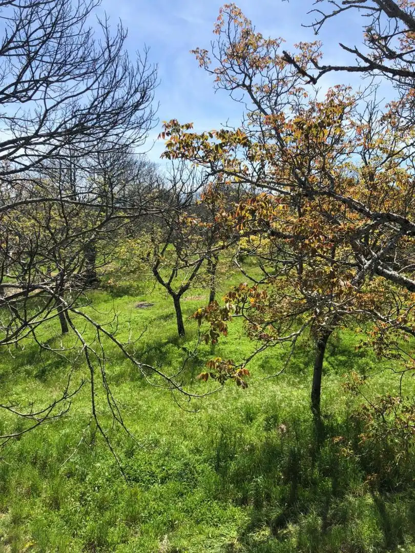Casa o chalet en venta en La Alberca  con Calefacción, Jardín privado y Trastero