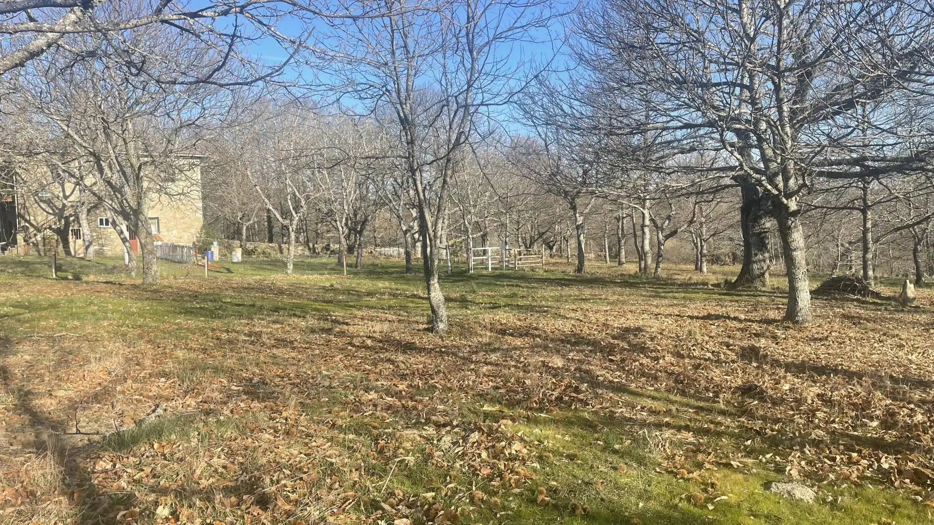 Casa o chalet en venta en La Alberca  con Calefacción, Jardín privado y Trastero