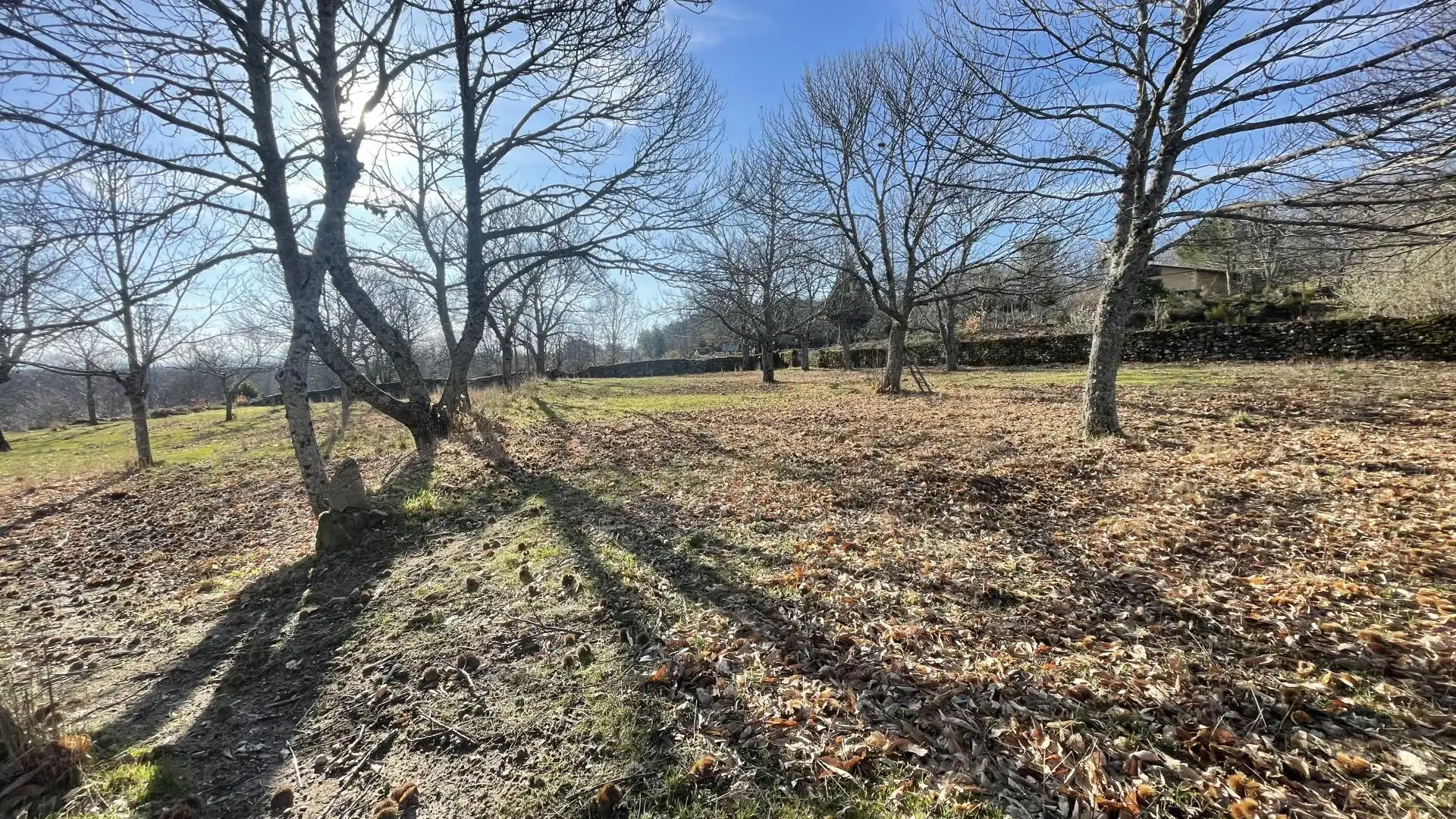 Casa o chalet en venta en La Alberca  con Calefacción, Jardín privado y Trastero