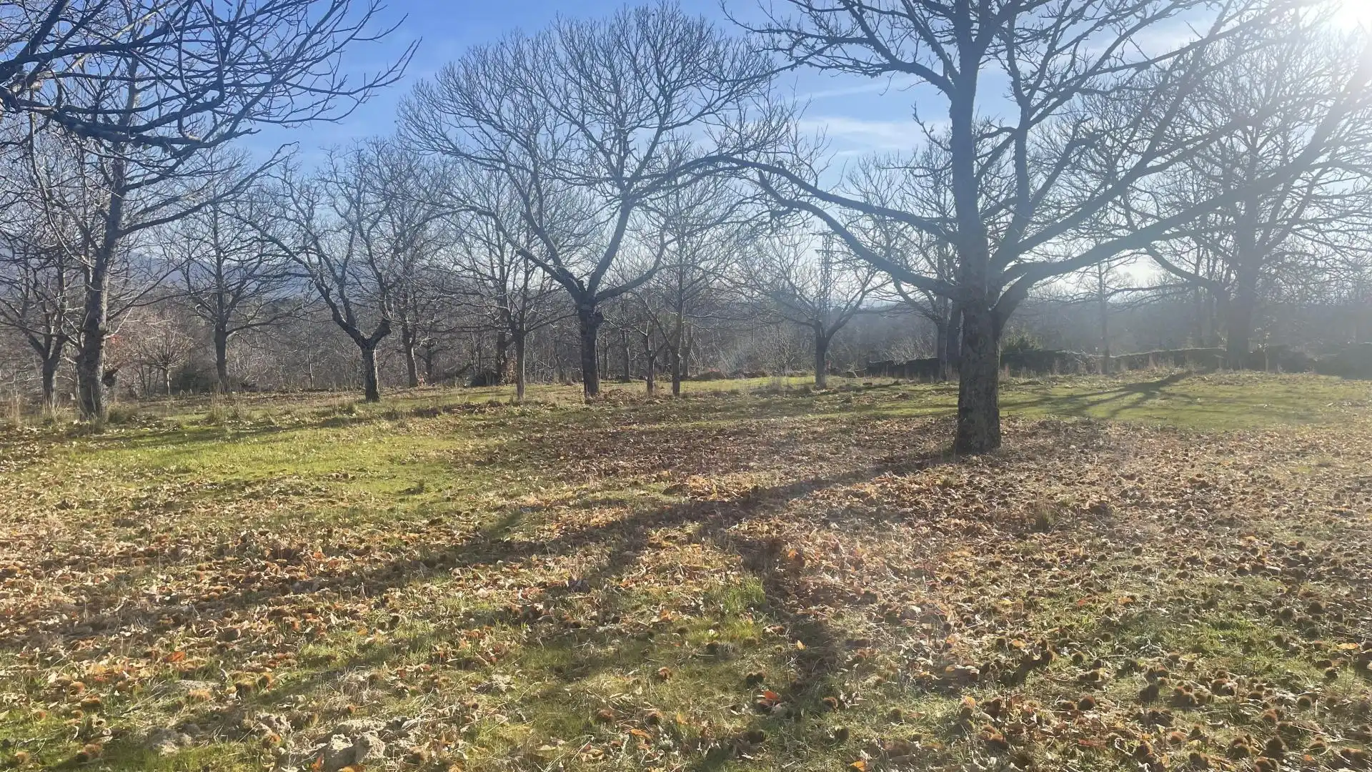 Casa o chalet en venta en La Alberca  con Calefacción, Jardín privado y Trastero