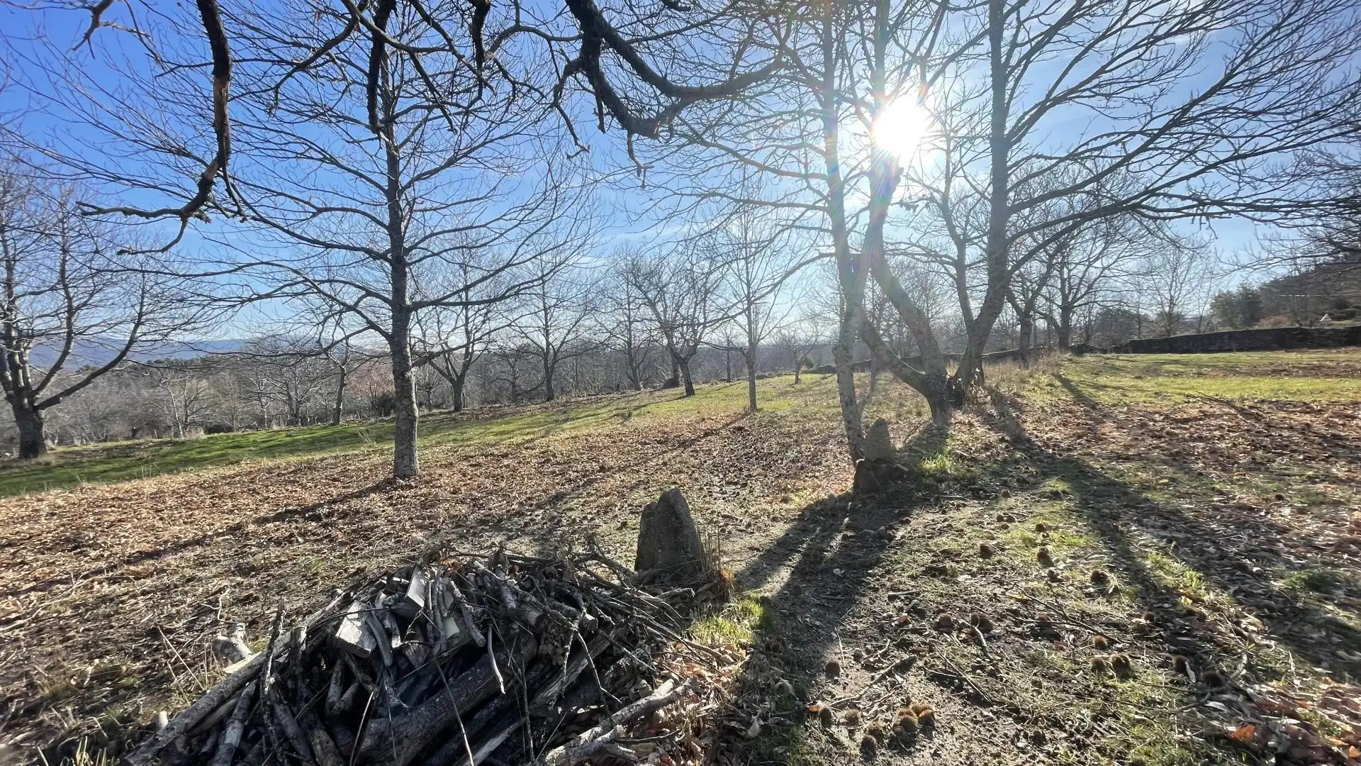 Casa o chalet en venta en La Alberca  con Calefacción, Jardín privado y Trastero