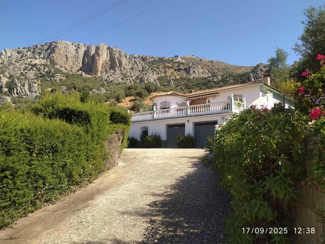 Finca rústica en Venta en Calle Fuente, 42 en Alfarnatejo