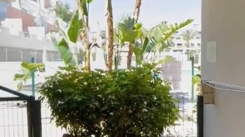 Photo 5 of Flat for sale in Calle Sotavento, 2, Puerto Rey, Vera