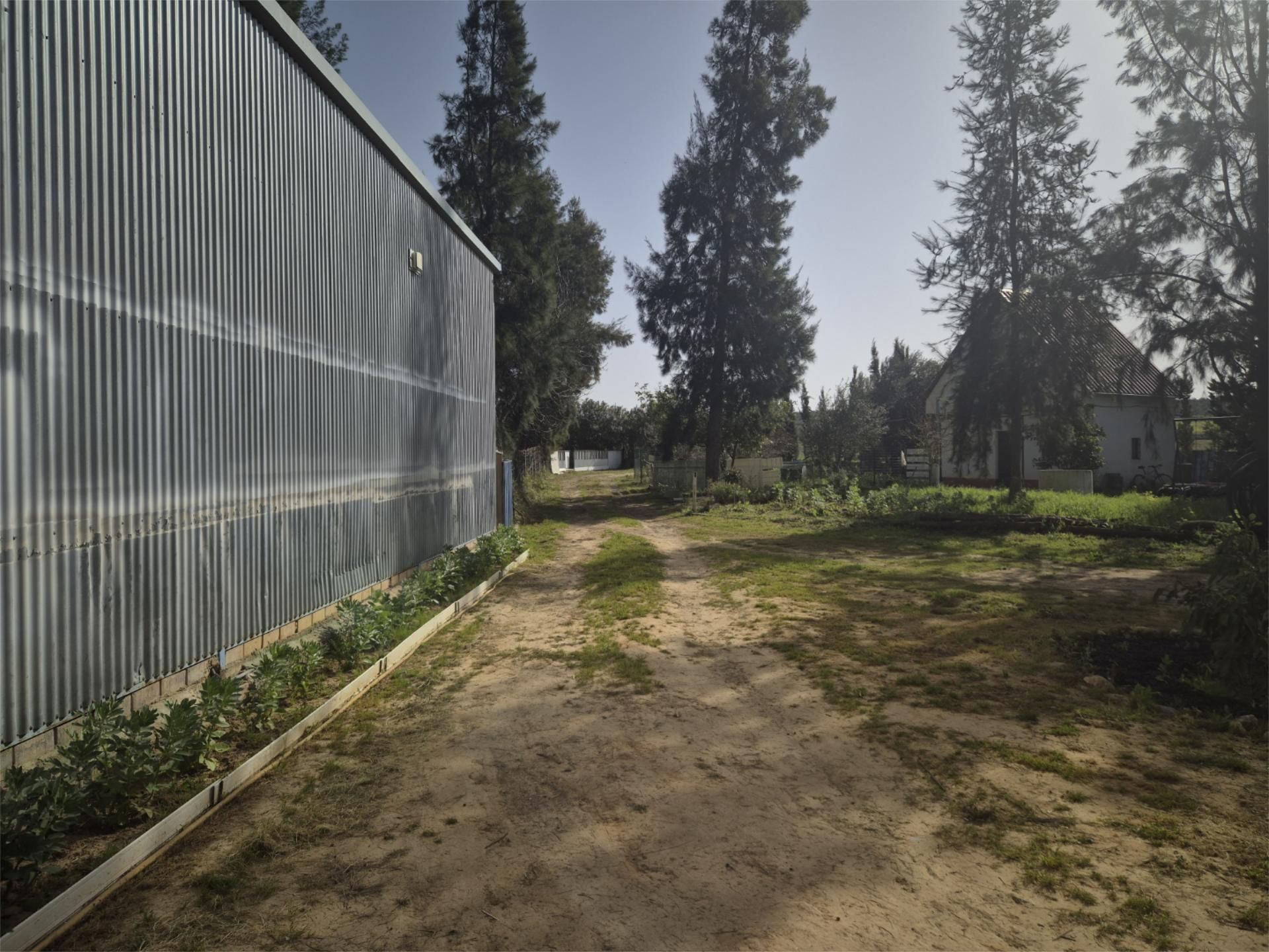 Finca rústica en venta en Carrión de los Céspedes