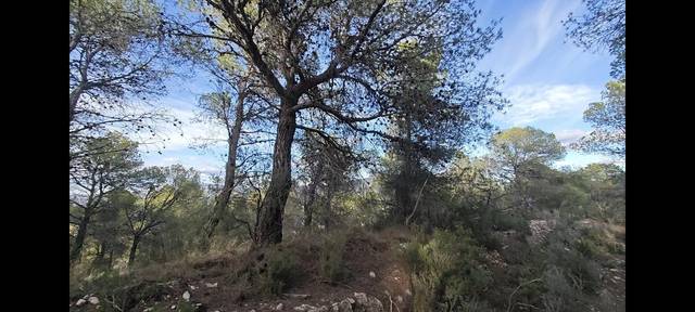 Terreno en Venta en Urbanización Cruz del Maigmó, 1 en Tibi