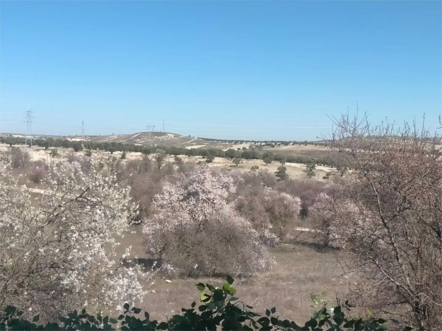 Casa o xalet en venda a Calle Muralla, 1, Torrecastillo Casa o xalet en venda en Seseña amb Aire condicionat, Calefacció i Jardí privat