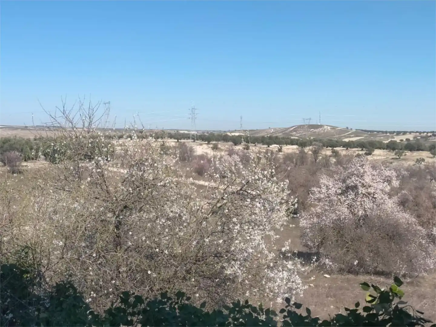 Casa o xalet en venda a Calle Muralla, 1, Torrecastillo Casa o xalet en venda en Seseña amb Aire condicionat, Calefacció i Jardí privat