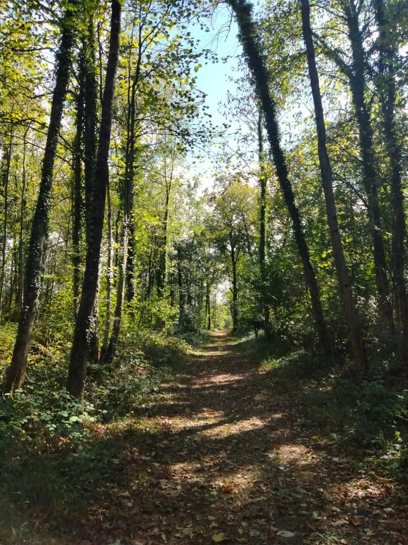 Exterior view of Flat for sale in Palafrugell  with Private garden and Furnished