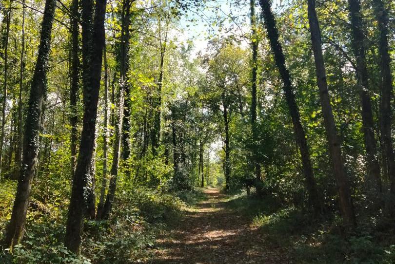 Flat for sale in Carrer del Montsià, 1, Molí de Vent - La Sauleda, Palafrugell - image 1 Photo 1 of Flat for sale in Carrer del Montsià, 1, Molí de Vent - La Sauleda, Palafrugell