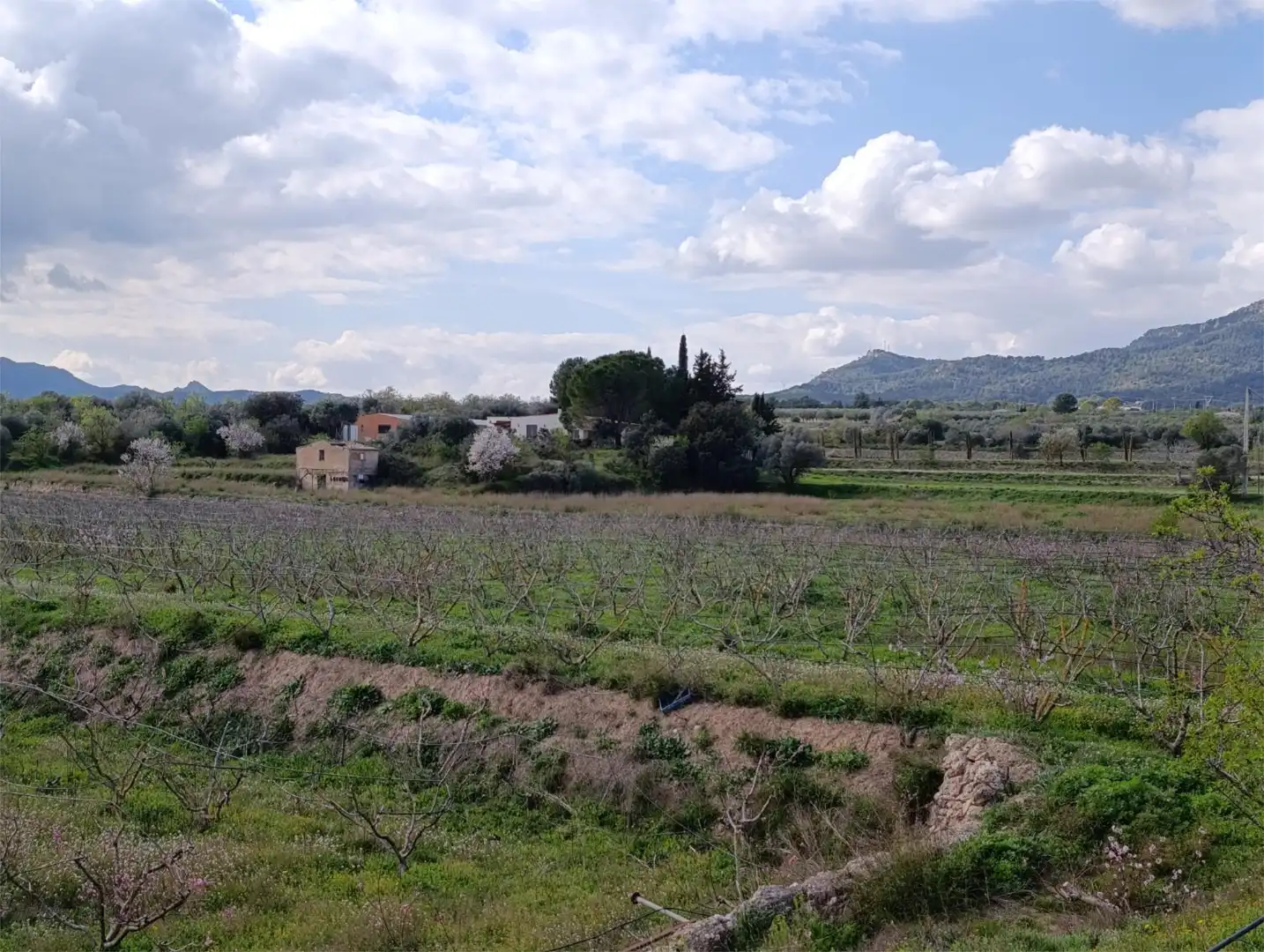 Terreno en venta en Móra d'Ebre