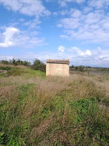 Terreno en Venta en Camí de Sant Jeroni, 18 en Móra d'Ebre