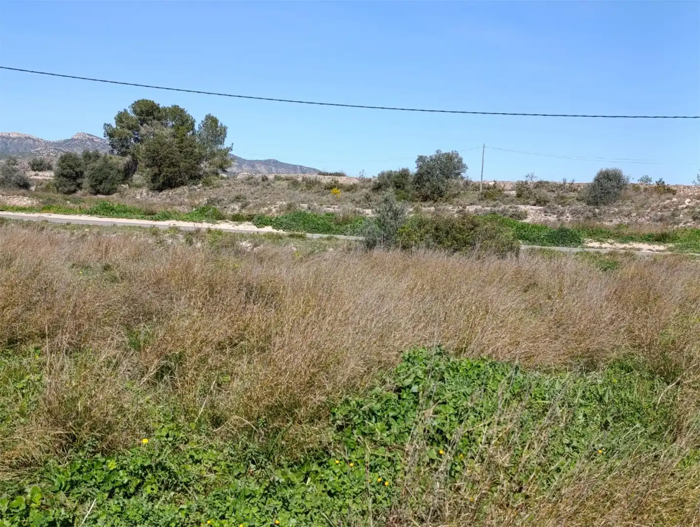 Terreno en venta en Móra d'Ebre