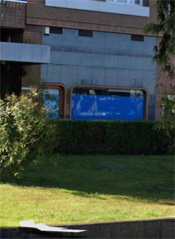 Local comercial en Alquiler en Buenavista