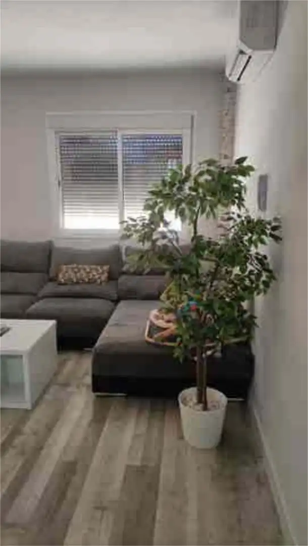 Sala de estar de Piso en venta en Jimena de la Frontera con Calefacción y Amueblado