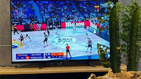 Apartment for rent in Calle Salvador, 44, Los Santos de Maimona, Badajoz - image 5 Photo 5 of Apartment for rent in Calle Salvador, 44, Los Santos de Maimona, Badajoz