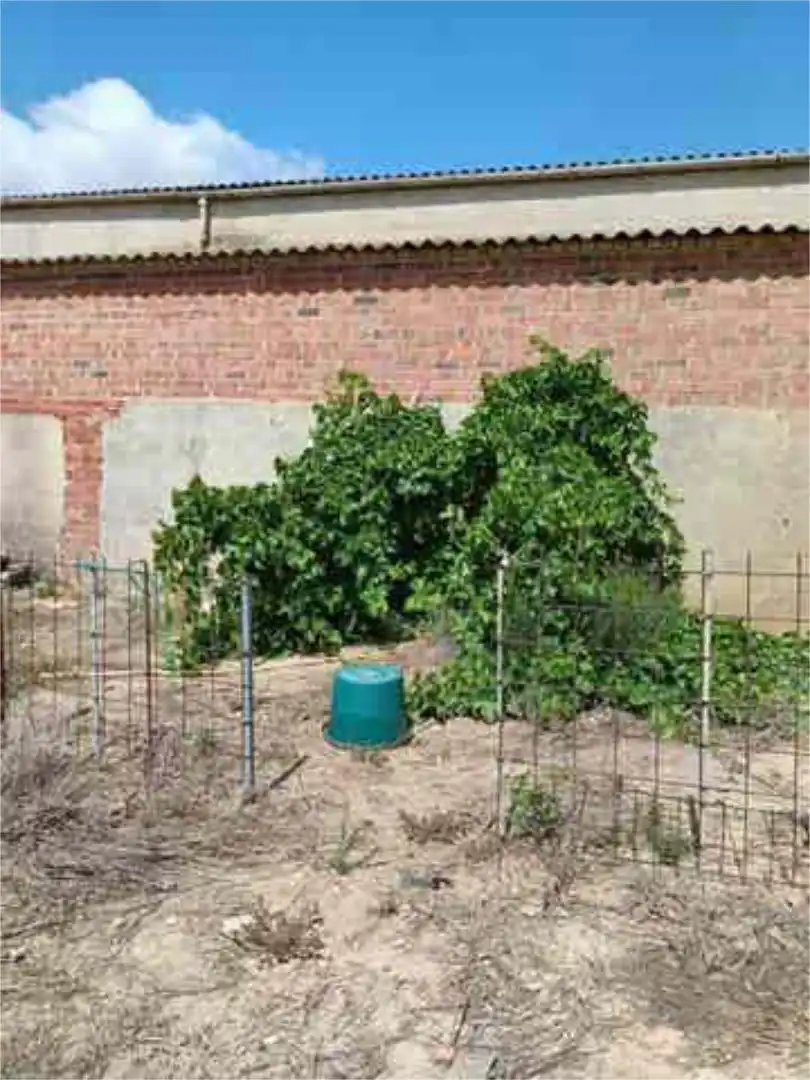 Garden of Houses for sale in Villarramiel