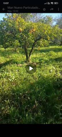 Terreno en Venta en Calle Huerta, 2 en Pilas