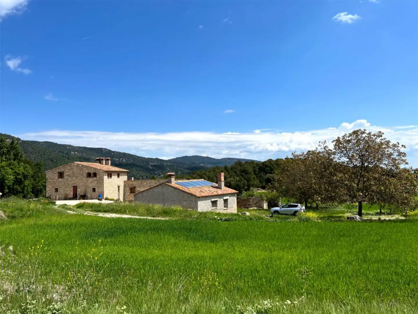 Finca rústica en venda a Camí la de Cadeneta, 2, Mont-ral Finca rústica en venda en Mont-ral amb Jardí privat, Terrassa i Moblat