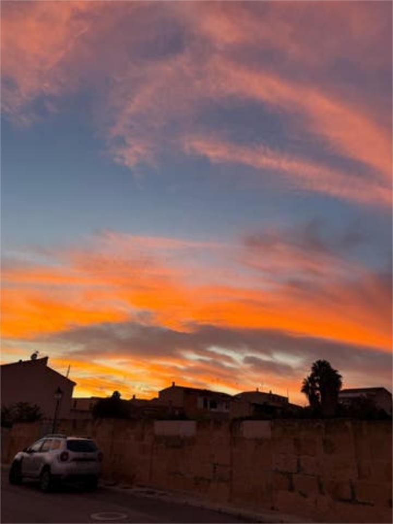 Flat for share in Vilafranca de Bonany